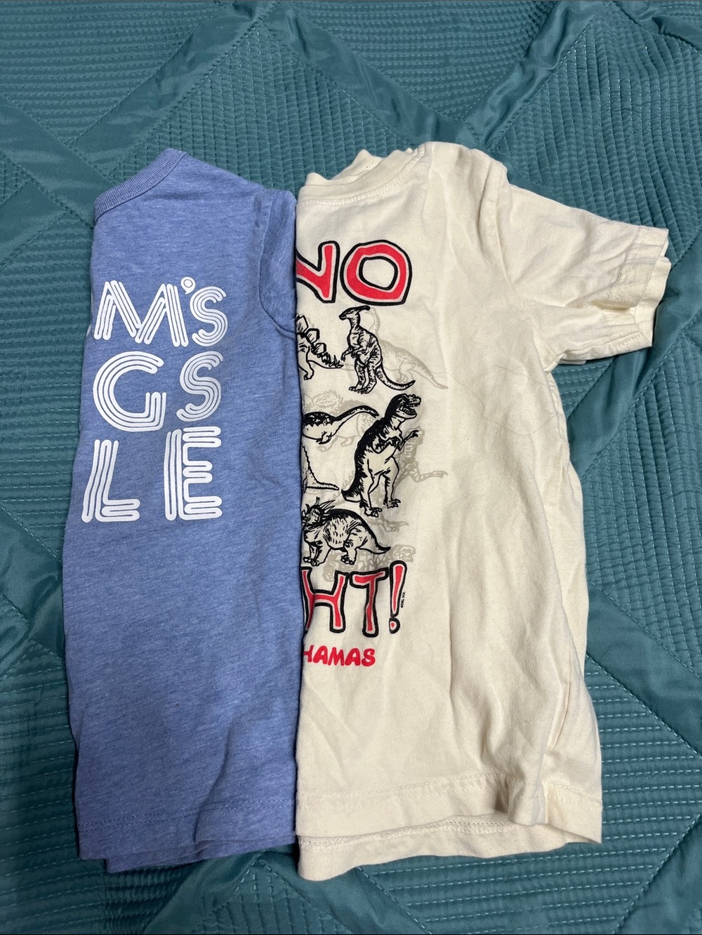 Boys graphic shirts size 4T